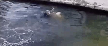 640.gif