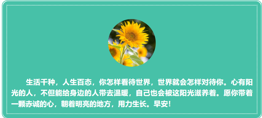 1653176217(1).png