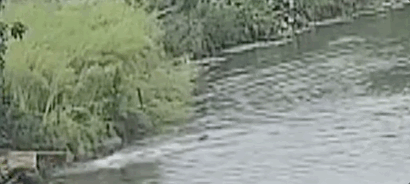 640.gif