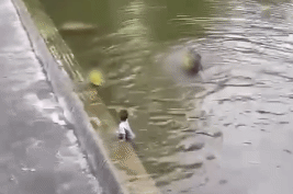 640.gif