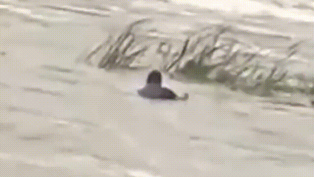 640 (2).gif