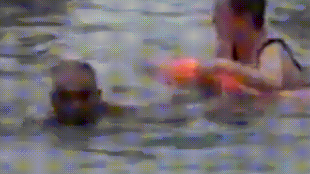 640.gif