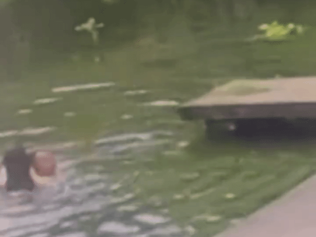 640.gif