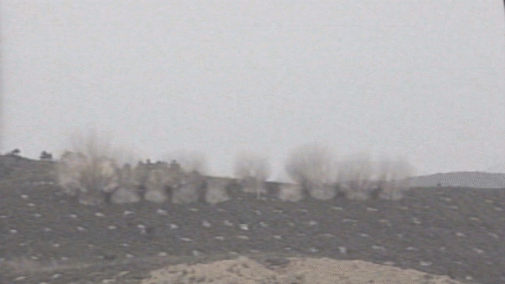 640.gif