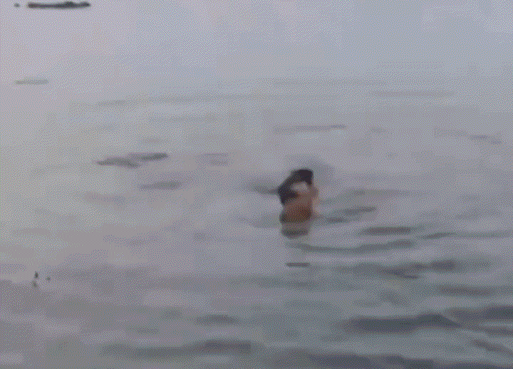 640.gif
