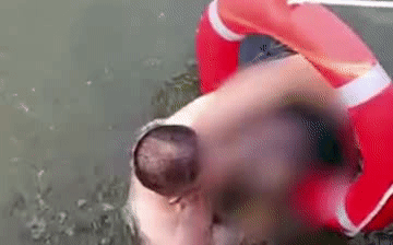 640.gif