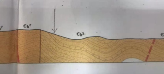 1664464258584.jpg