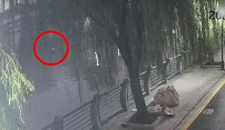 640.gif