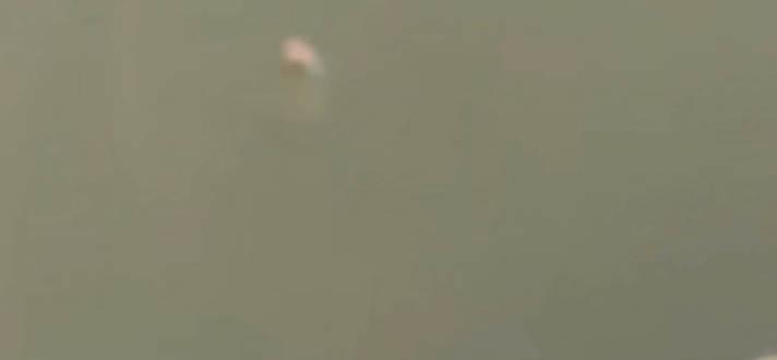 640.gif