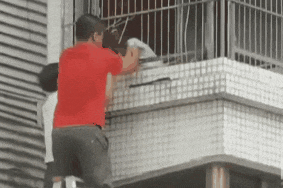 640.gif
